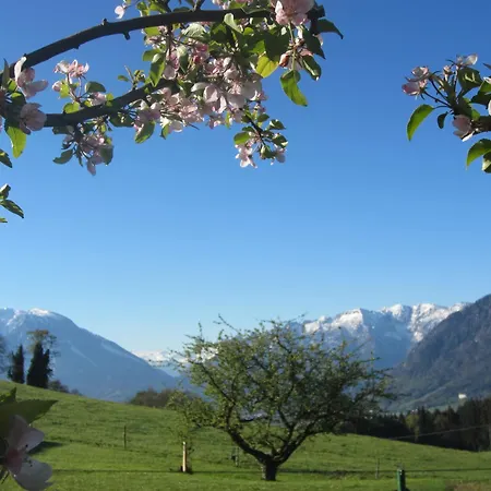 Kochhof *